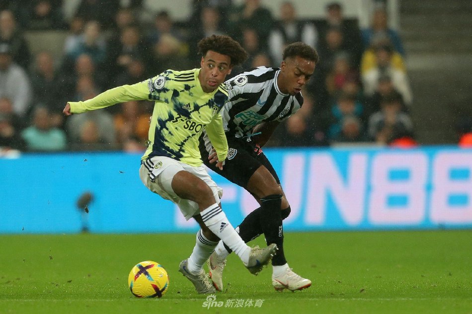 引发了人们 引发了人们